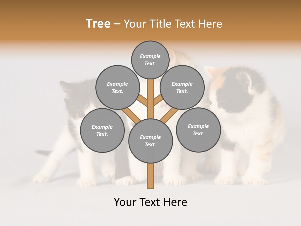 Kitten Soft Feline PowerPoint Template