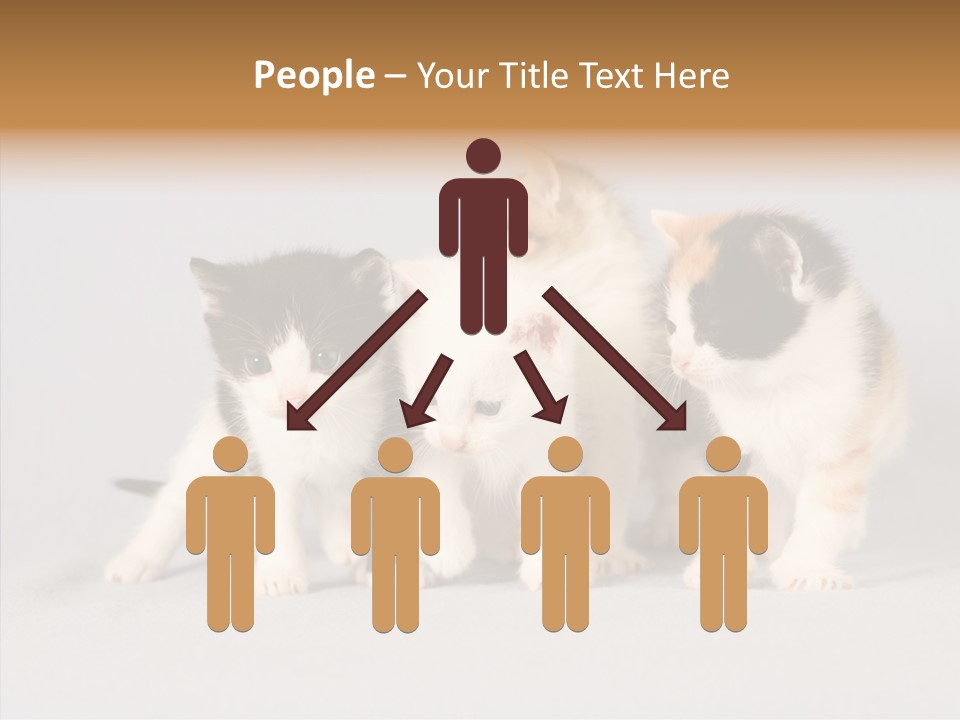 Kitten Soft Feline PowerPoint Template