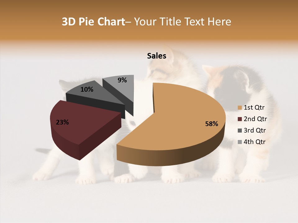 Kitten Soft Feline PowerPoint Template