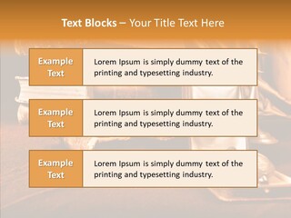 Decrepitude Holes Macro PowerPoint Template