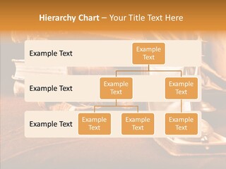 Decrepitude Holes Macro PowerPoint Template