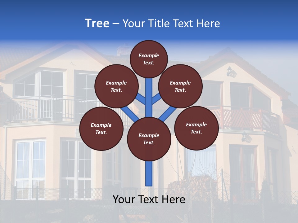 Degree Model Color PowerPoint Template