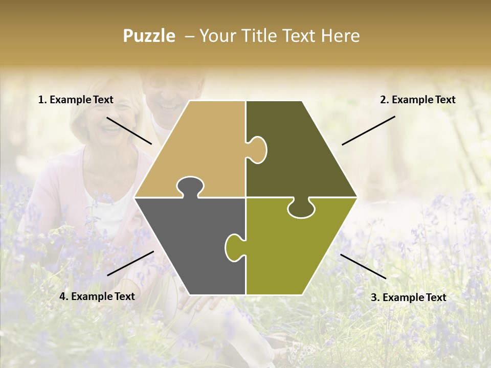 People Ethnicity Retirement PowerPoint Template