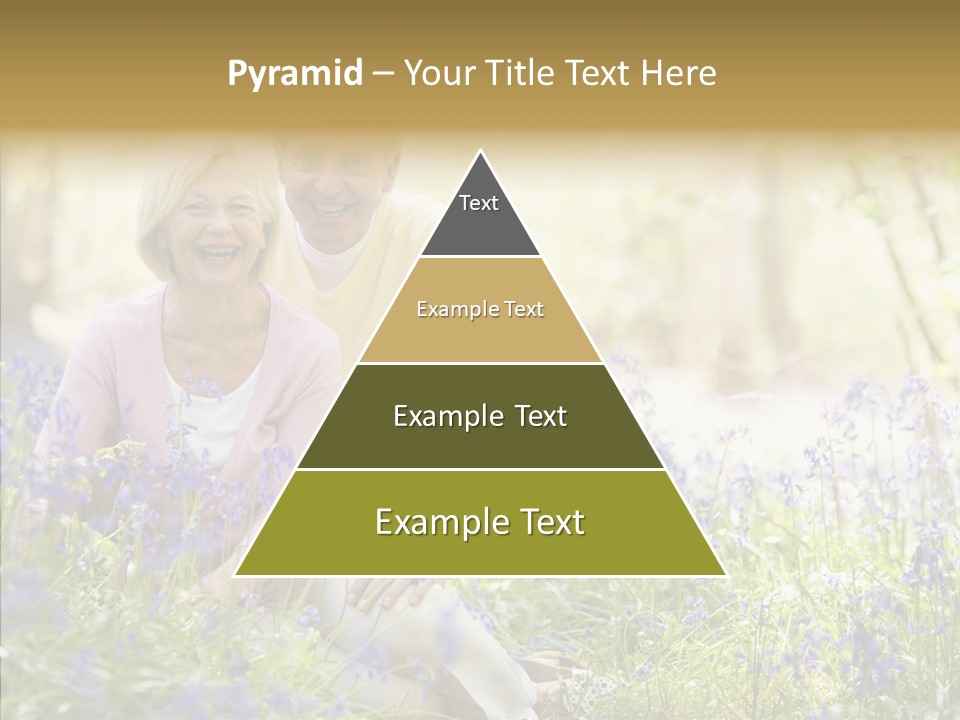 People Ethnicity Retirement PowerPoint Template
