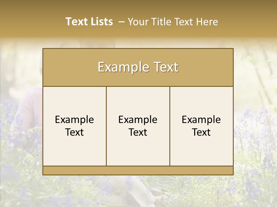People Ethnicity Retirement PowerPoint Template