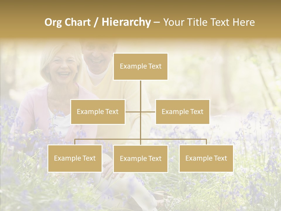 People Ethnicity Retirement PowerPoint Template