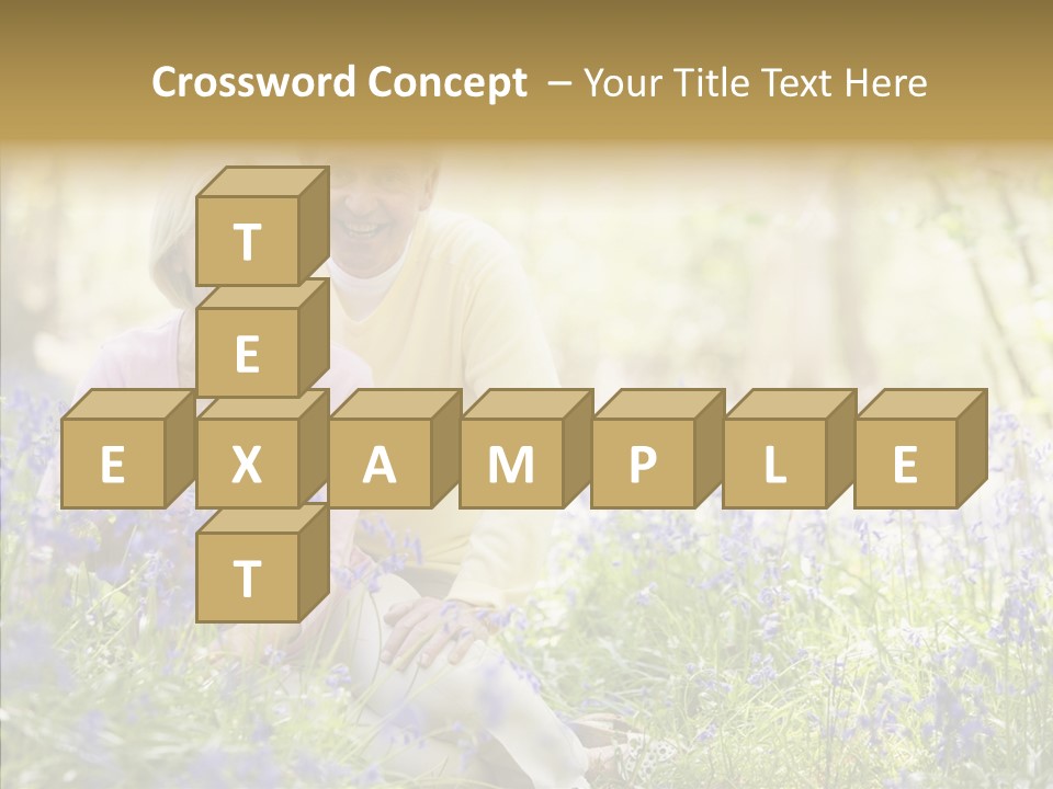 People Ethnicity Retirement PowerPoint Template