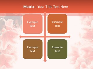 Leaf Botanical Flowers PowerPoint Template