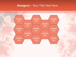 Leaf Botanical Flowers PowerPoint Template