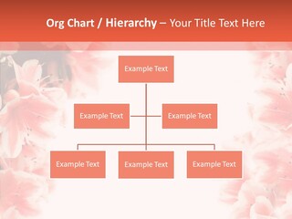 Leaf Botanical Flowers PowerPoint Template