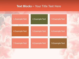 Leaf Botanical Flowers PowerPoint Template