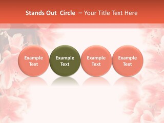 Leaf Botanical Flowers PowerPoint Template