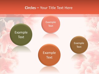 Leaf Botanical Flowers PowerPoint Template