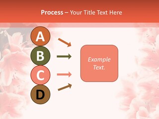 Leaf Botanical Flowers PowerPoint Template