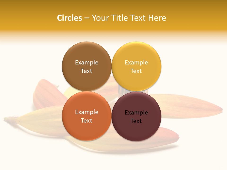 Wedding Band Isolated PowerPoint Template