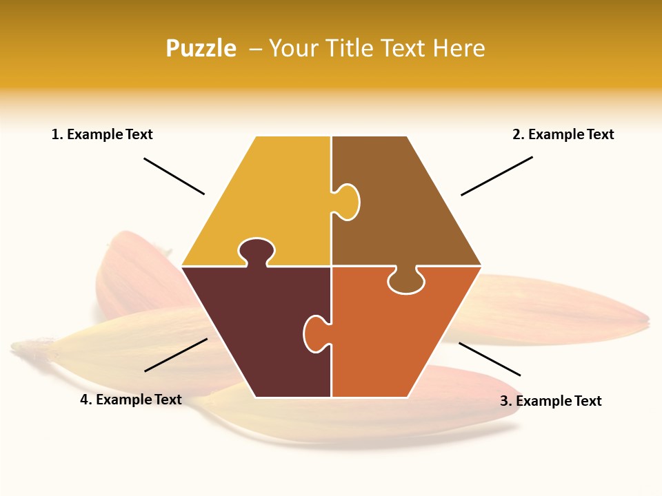 Wedding Band Isolated PowerPoint Template