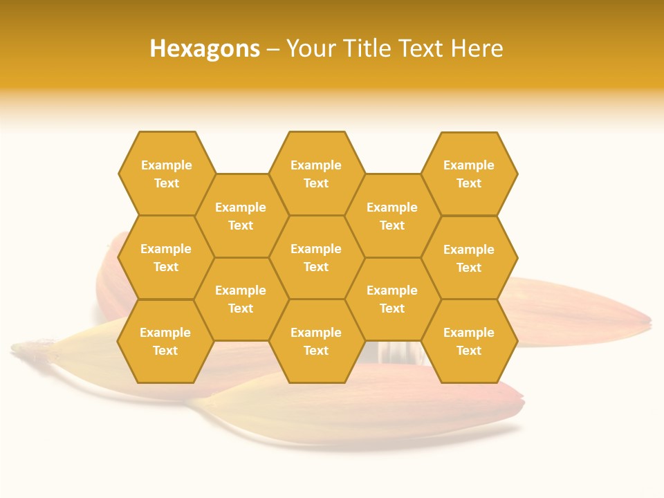 Wedding Band Isolated PowerPoint Template