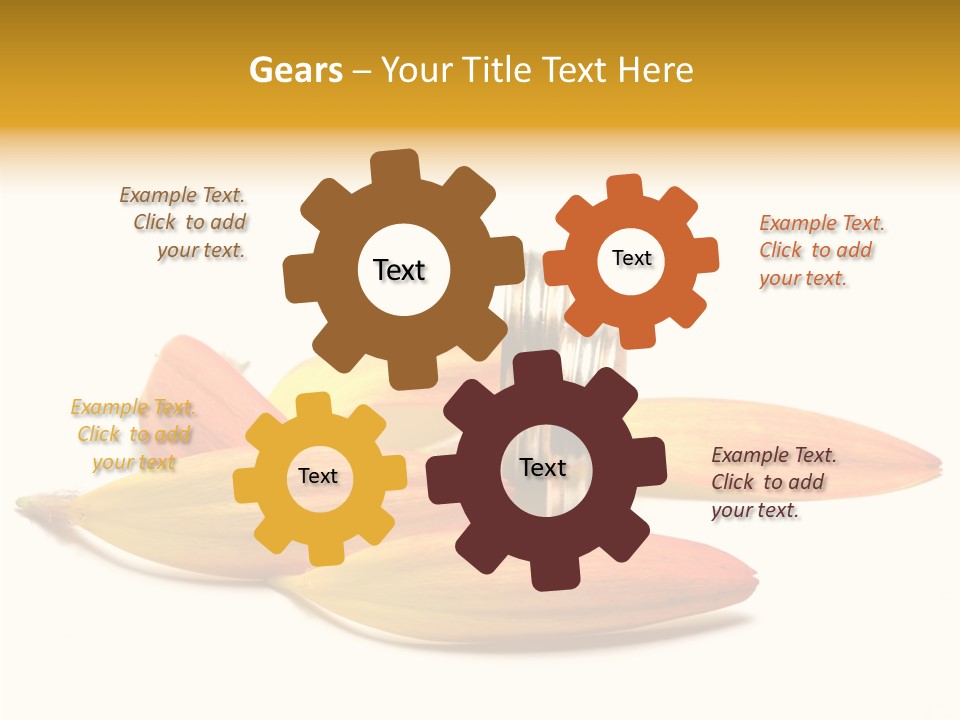 Wedding Band Isolated PowerPoint Template