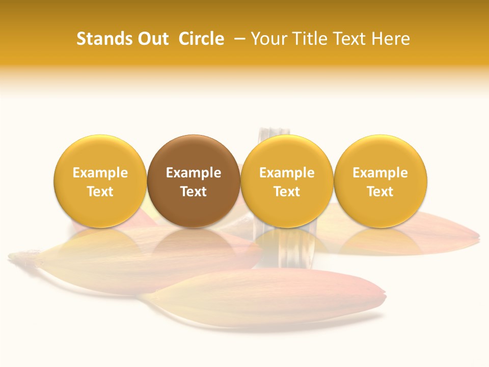 Wedding Band Isolated PowerPoint Template