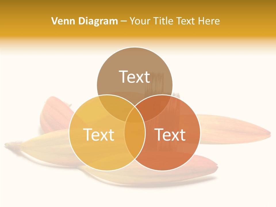 Wedding Band Isolated PowerPoint Template