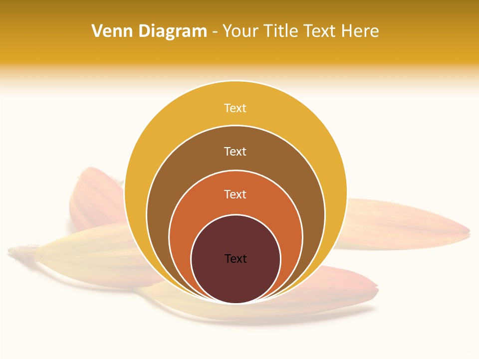 Wedding Band Isolated PowerPoint Template