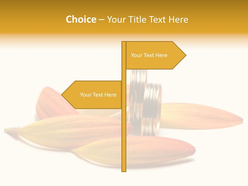 Wedding Band Isolated PowerPoint Template