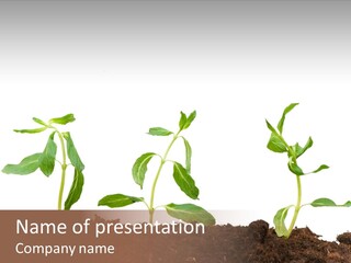 Leaf Environmental Growth PowerPoint Template