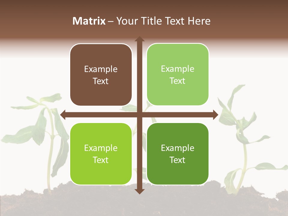 Leaf Environmental Growth PowerPoint Template