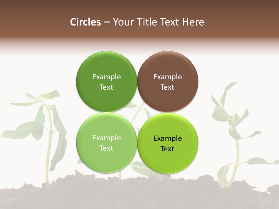 Leaf Environmental Growth PowerPoint Template