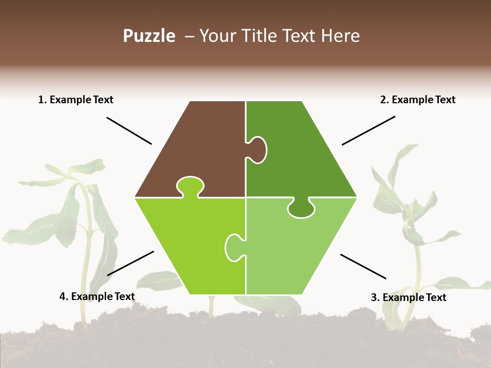 Leaf Environmental Growth PowerPoint Template