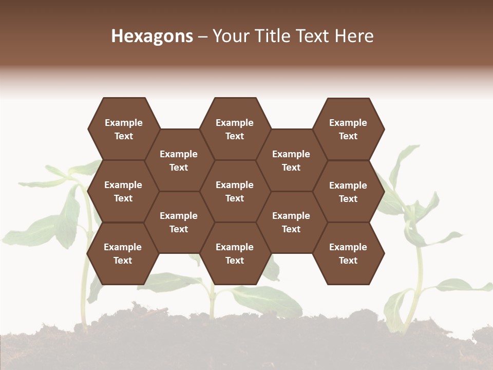 Leaf Environmental Growth PowerPoint Template