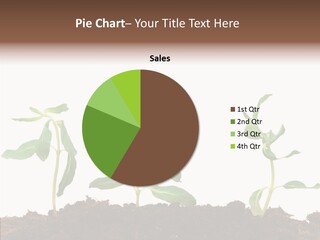 Leaf Environmental Growth PowerPoint Template