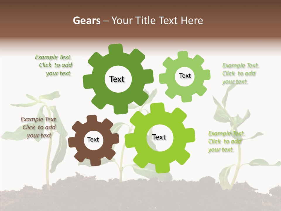 Leaf Environmental Growth PowerPoint Template