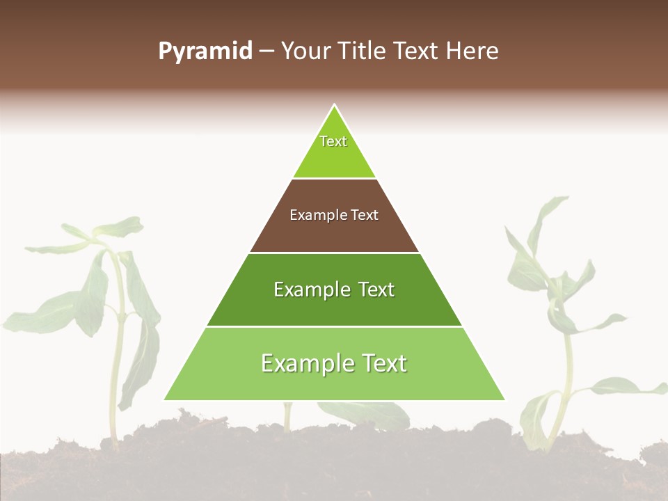 Leaf Environmental Growth PowerPoint Template