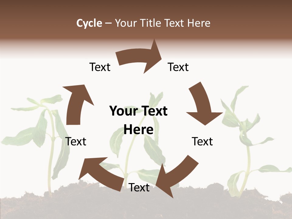 Leaf Environmental Growth PowerPoint Template