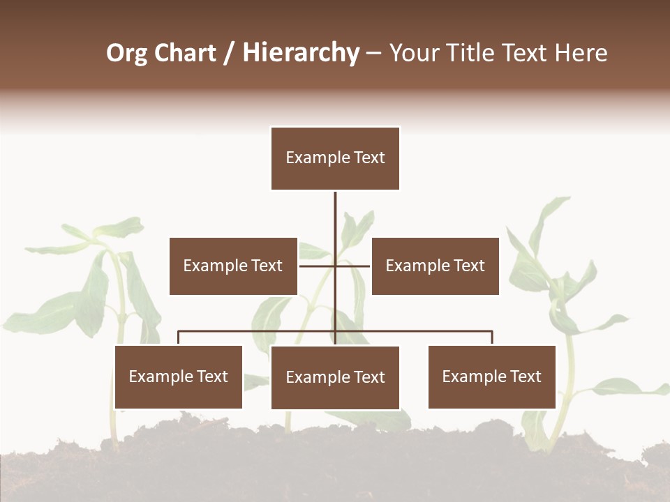 Leaf Environmental Growth PowerPoint Template