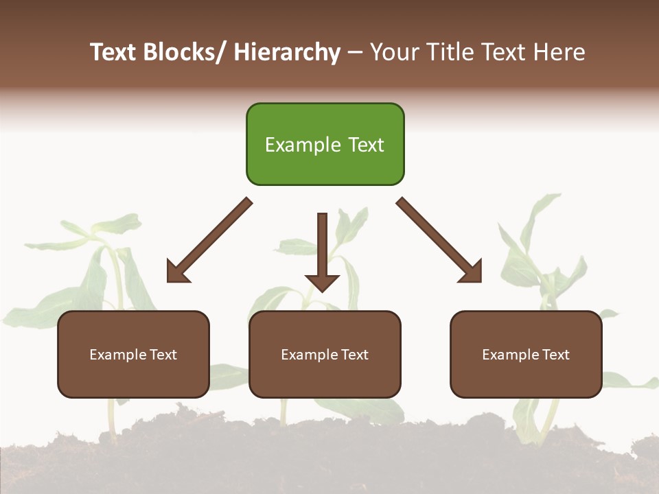 Leaf Environmental Growth PowerPoint Template
