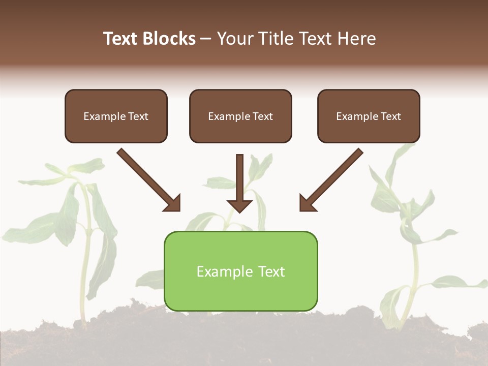 Leaf Environmental Growth PowerPoint Template