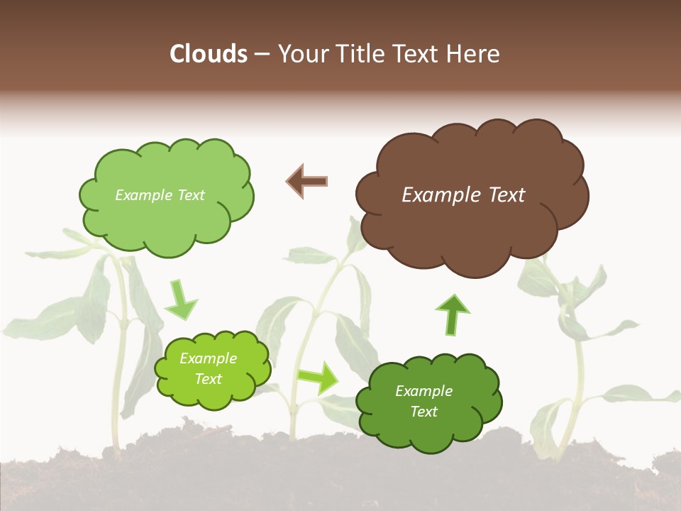 Leaf Environmental Growth PowerPoint Template