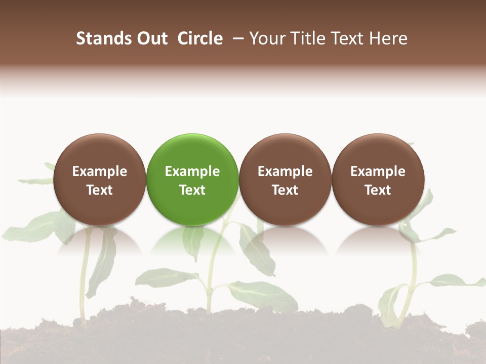 Leaf Environmental Growth PowerPoint Template
