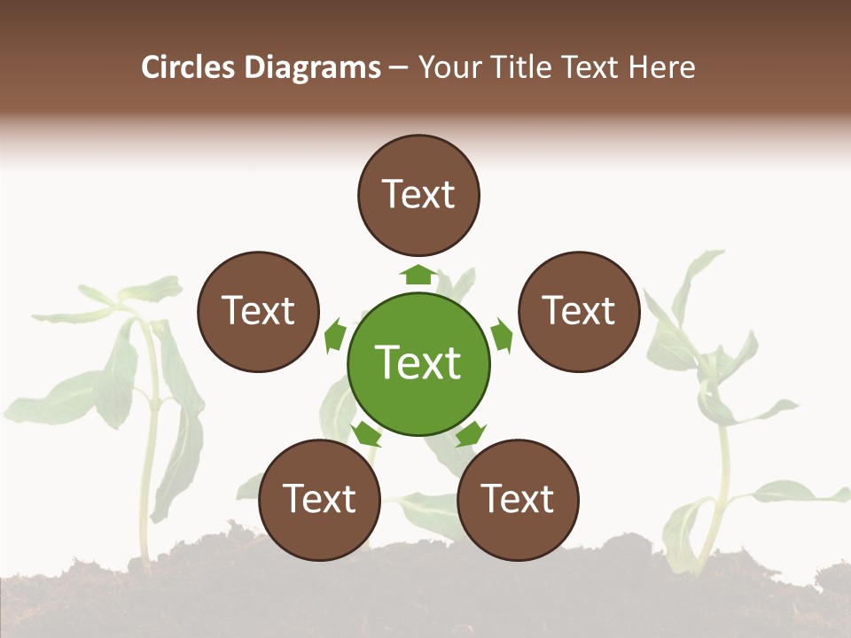 Leaf Environmental Growth PowerPoint Template
