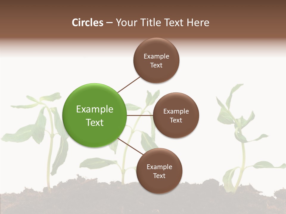 Leaf Environmental Growth PowerPoint Template