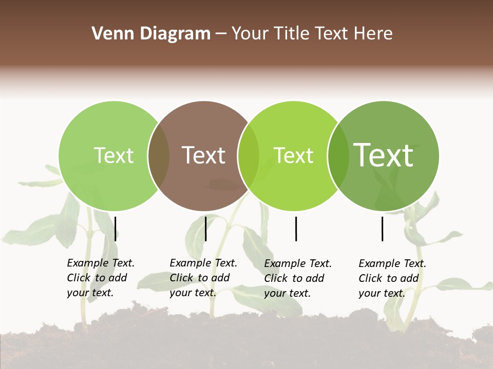 Leaf Environmental Growth PowerPoint Template