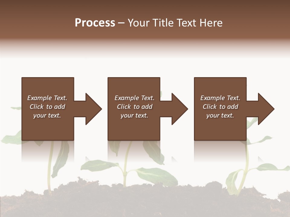 Leaf Environmental Growth PowerPoint Template