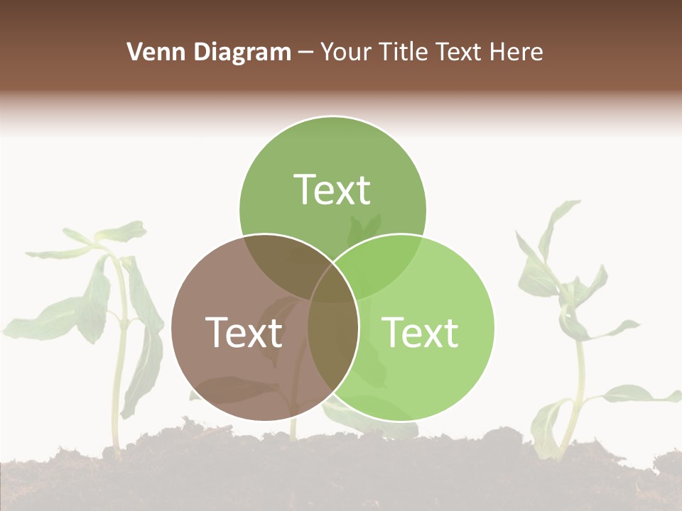 Leaf Environmental Growth PowerPoint Template