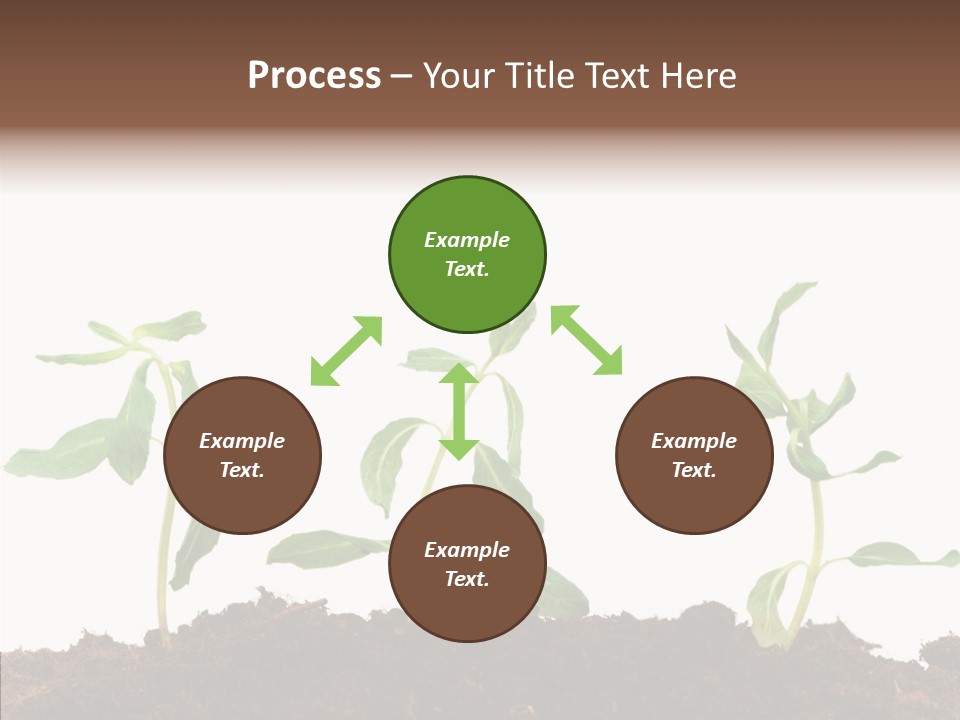 Leaf Environmental Growth PowerPoint Template
