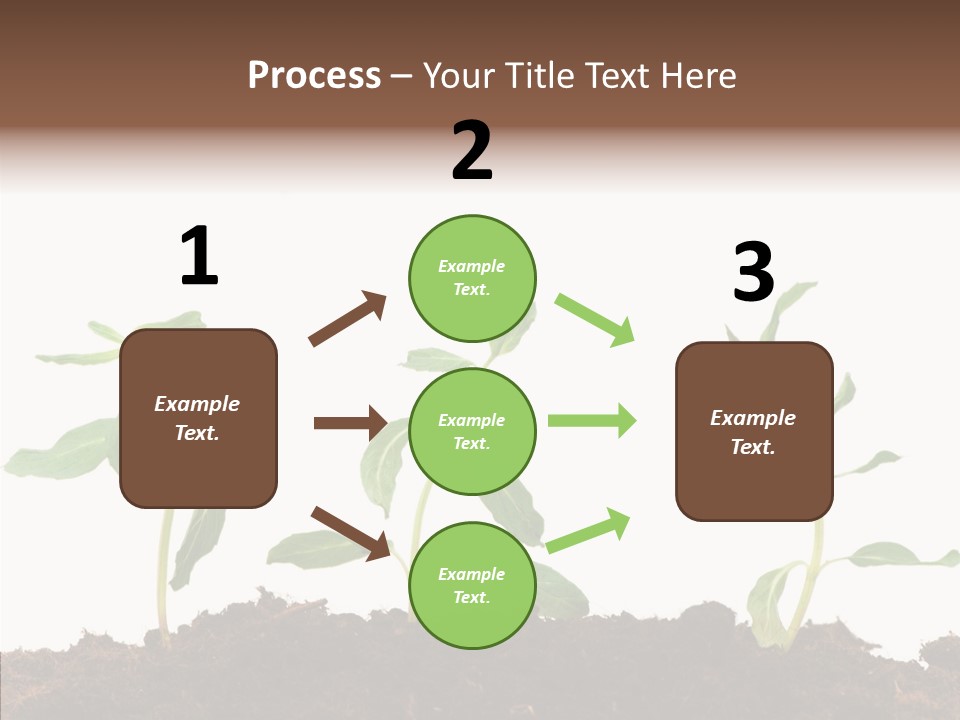 Leaf Environmental Growth PowerPoint Template