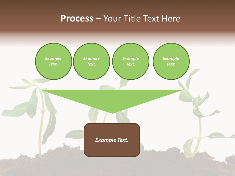 Leaf Environmental Growth PowerPoint Template