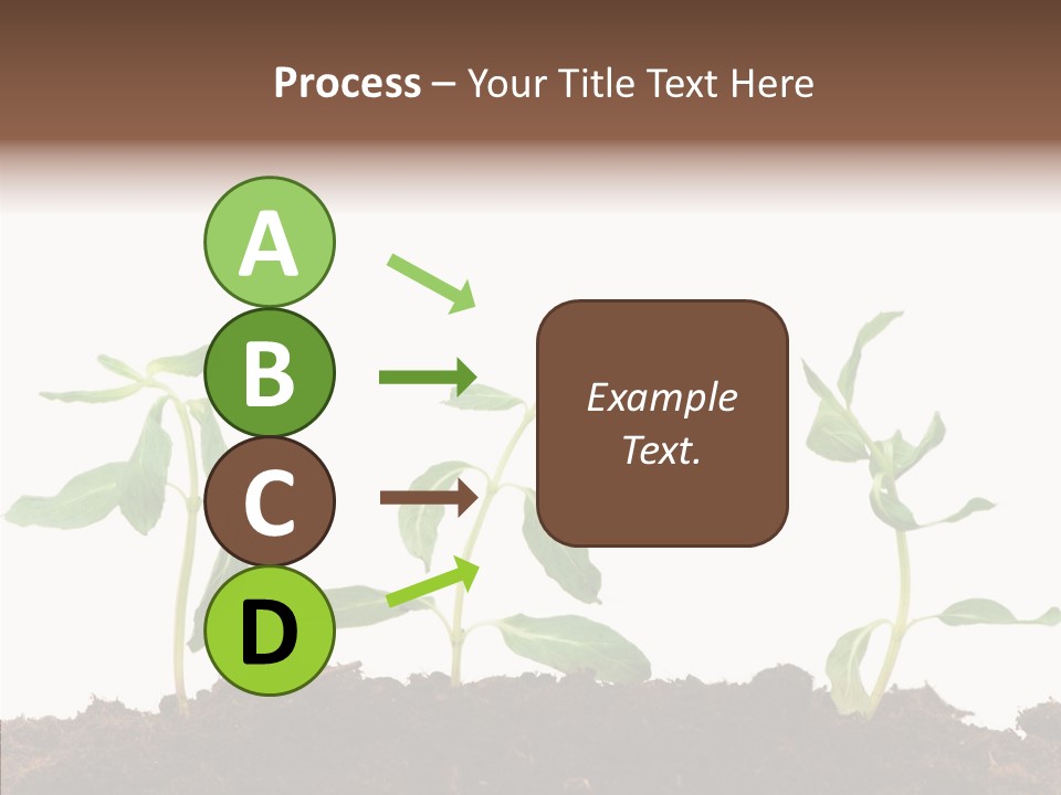 Leaf Environmental Growth PowerPoint Template