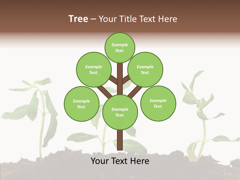 Leaf Environmental Growth PowerPoint Template